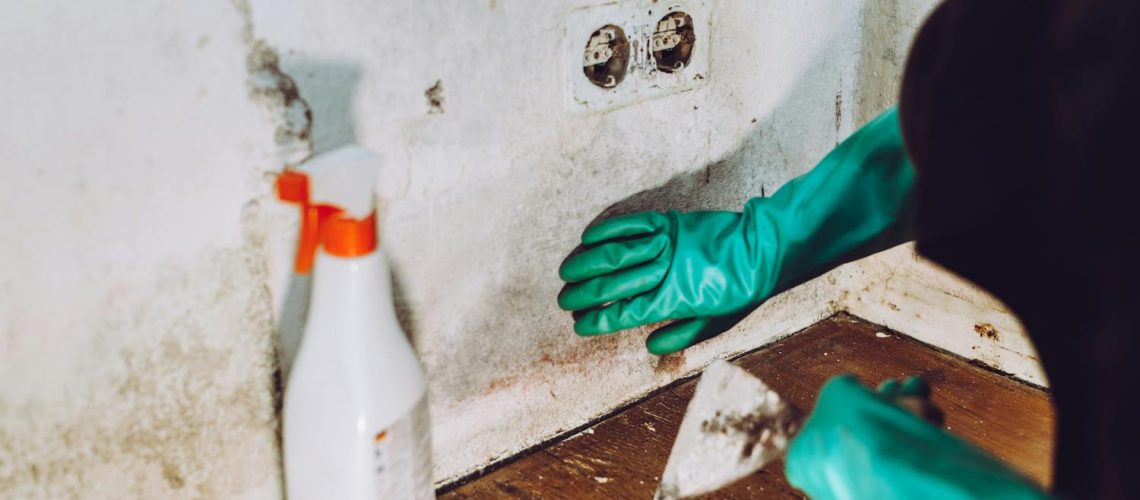 À quelle heure, quand aérer chez soi pour éviter les moisissures ?